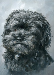 little dark fuzzy dog portrait