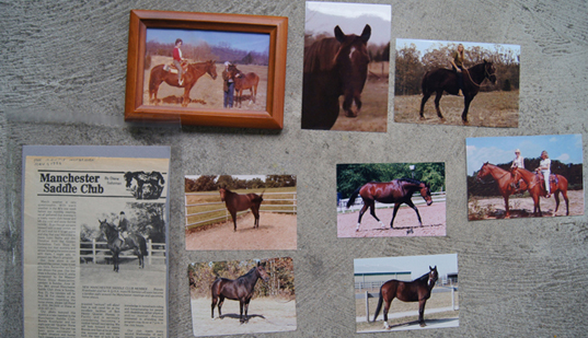 b herd before 676 2.jpg