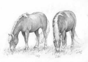 pencil portait horses